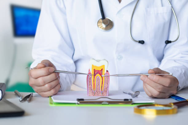 Best Emergency Dental Services for Seniors in Red Oak, TX